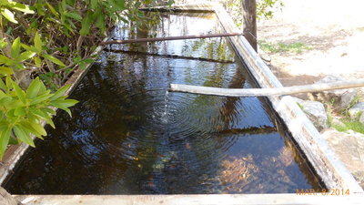 Water Flowing at Dutra Flat