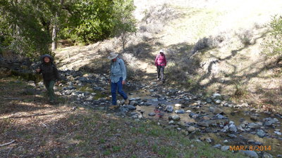 Dutra Creek Flowing