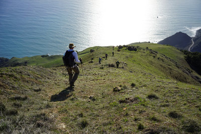On the way down