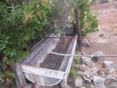 Dutra Flats spring