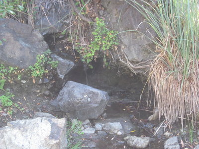 water on trail 1/2 mile past Durta Flats camp