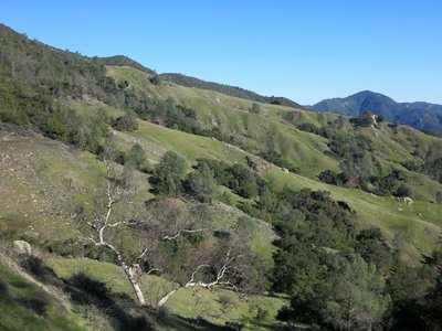 Green hilllsides near Dutra Flats