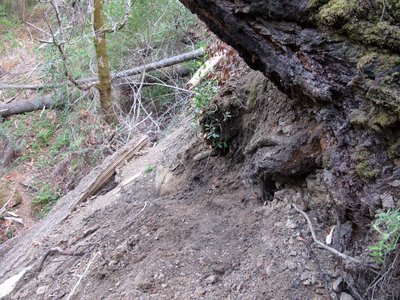 Spruce Creek Slide 4.jpg