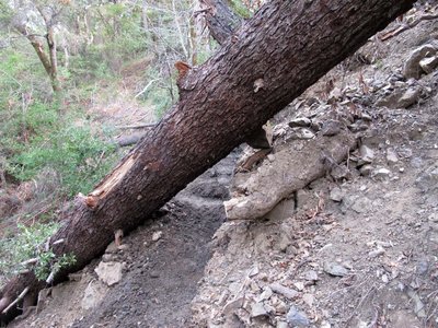 Spruce Creek Slide 3.jpg