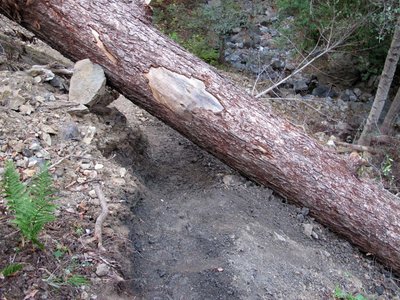 Spruce Creek Slide 1.jpg
