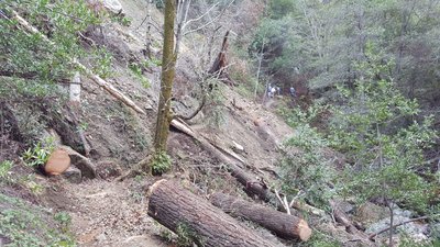 View from the upper end of the slide. One small tree to step over in the middle. Photo Courtesy of Steve Cypher.
