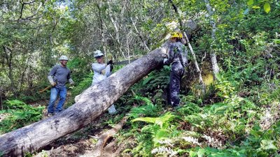 Log After the Slide.jpg