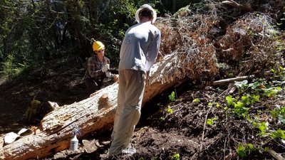 Log Before the Slide.jpg