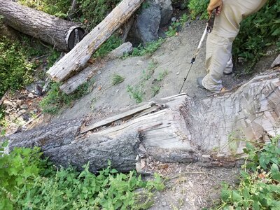Spruce Creek Slide 3.jpg