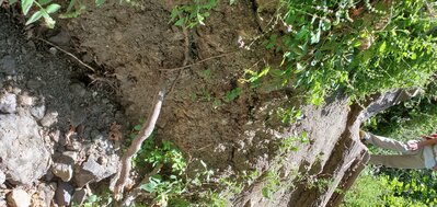 Closeup view from Dutra Flat side
