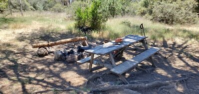 Dutra Flat Camp