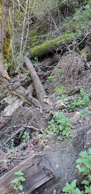 End of Spruce Creek Slide
