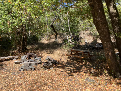 Turkey Springs Camp