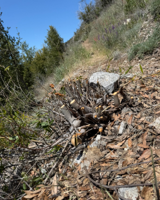 Screenshot 2025-05-05 210446.png