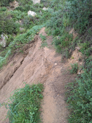 Blowdown #1, from the South