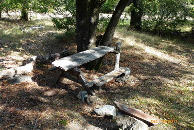 P1000073.JPG